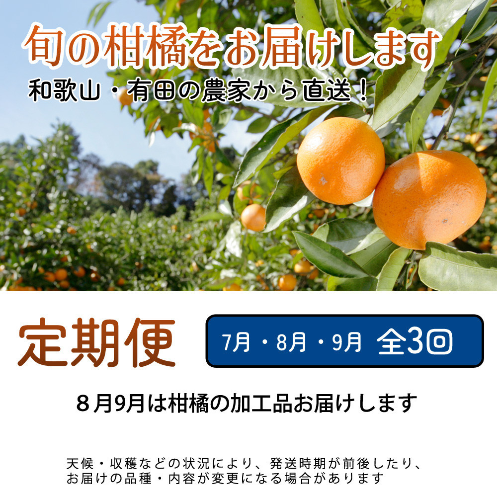 厳選 柑橘定期便S（7～9月）全3回 ［IKE290］