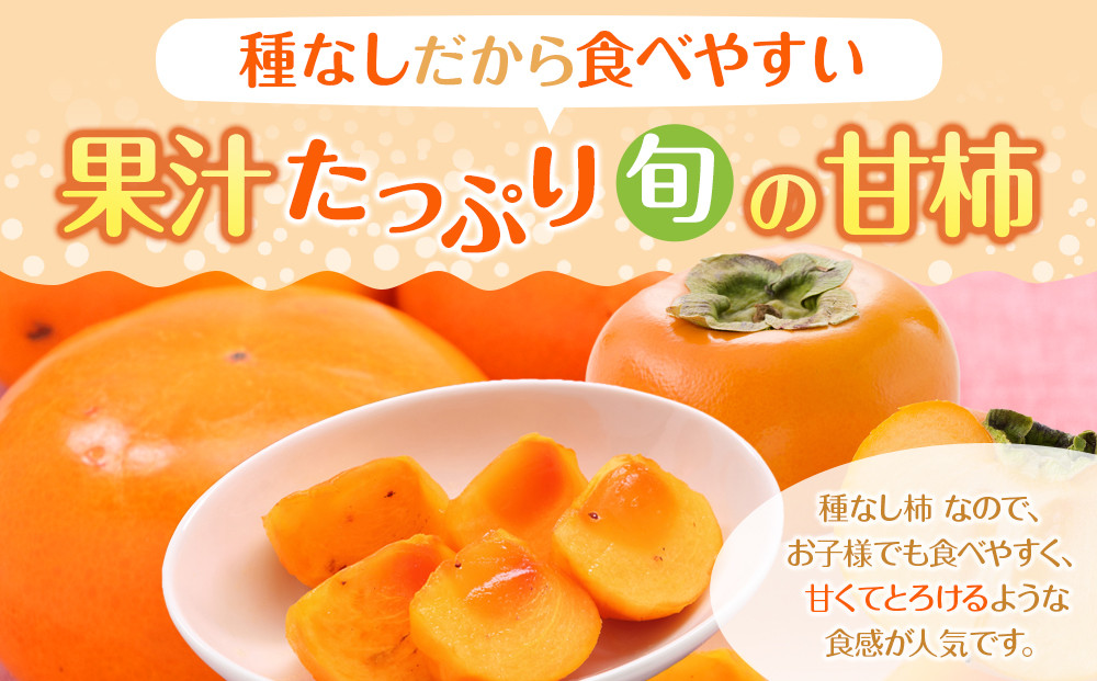 【2026年10月上旬以降発送】◆先行予約◆和歌山県産 平核無柿＜贈答用／秀品＞8～13玉【MG4】柿 種無し たねなし ひらたね 先行予約