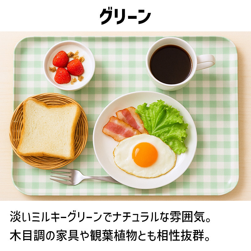 TATSU-CRAFT マグネットトレー L 39cm ミルキーチェック GR グリーン すべり止め付き ［Tk1127］