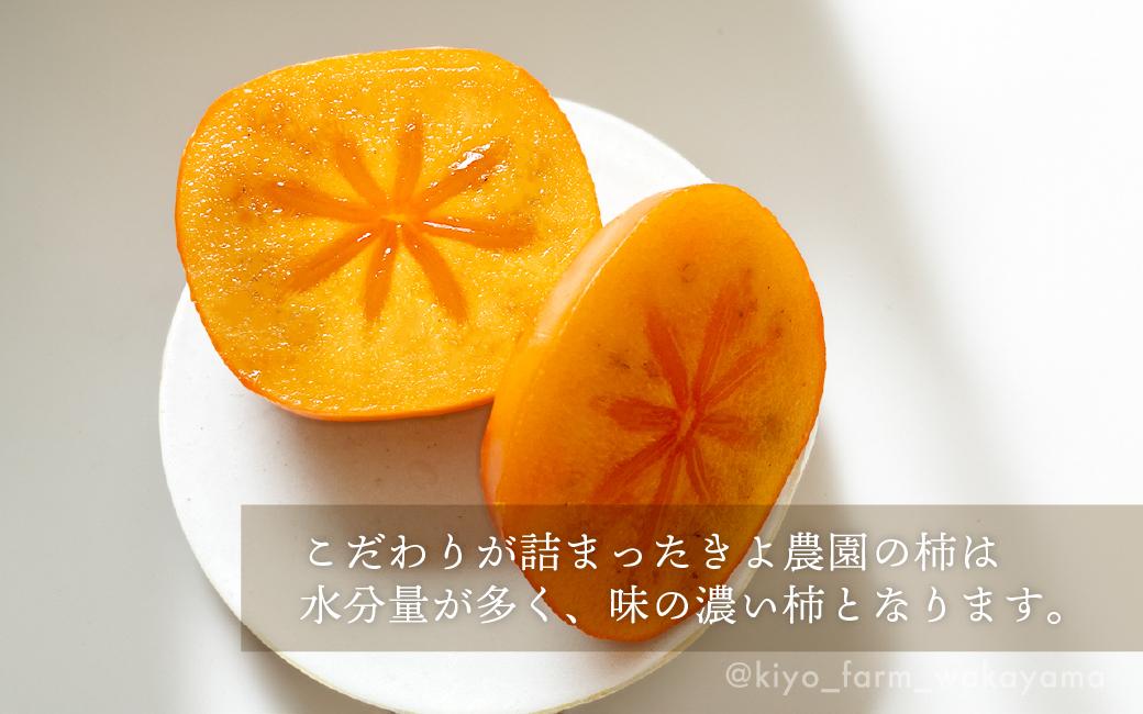 柿(種無し) 6個入 秀品大玉［2026年9月末頃より発送］［KT1］