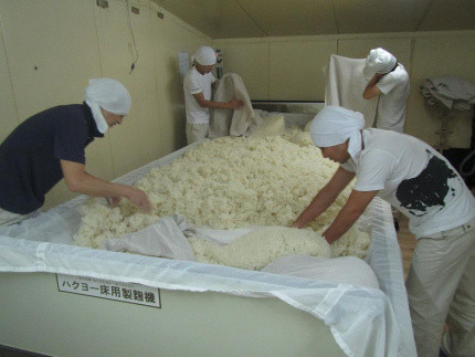 純米酒 黒牛 1.8L 1本 名手酒造 ［Nt2］