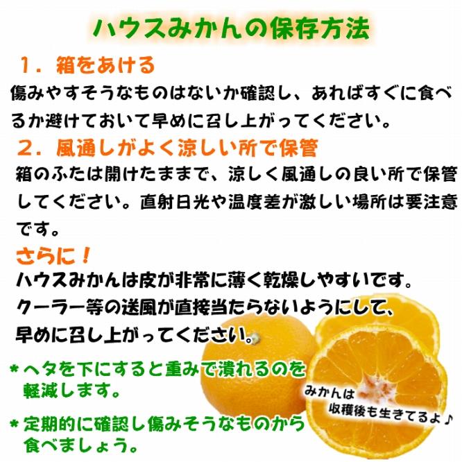 特撰品！和歌山有田の「ハウスみかん」【赤秀】約2.5kg 化粧箱入り（5月以降発送）【NGT3】