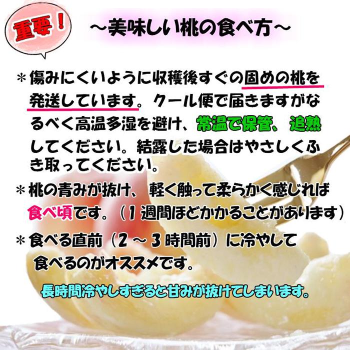 【秀品】和歌山ブランド白桃 約2kg！2026年6月発送分【NGT5】