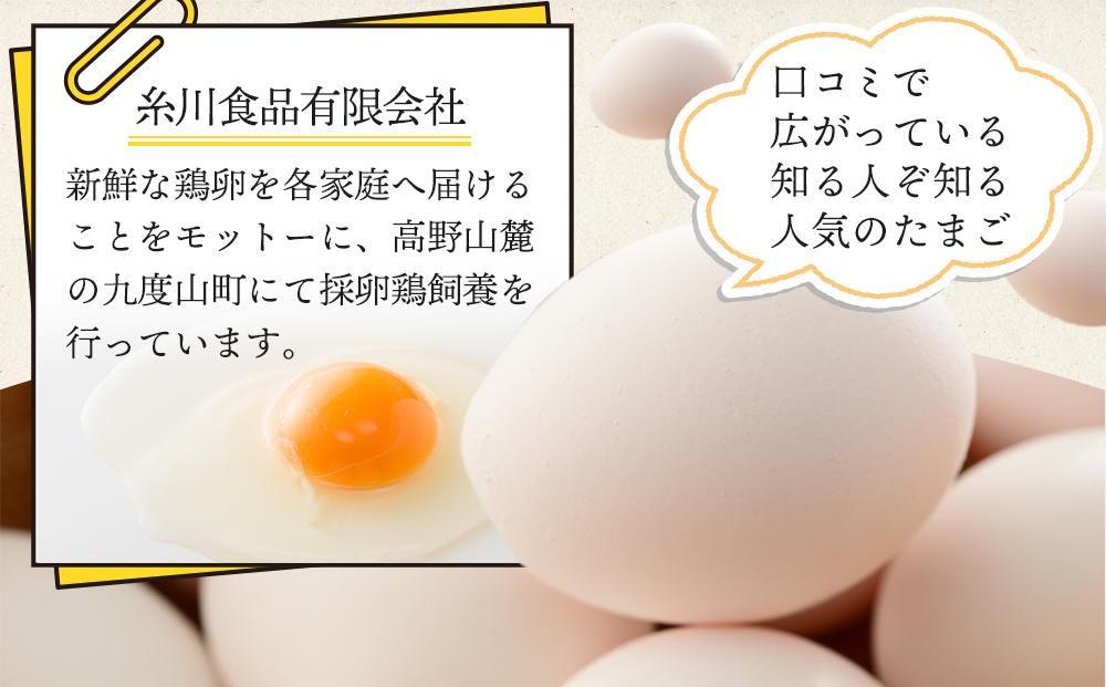 【定期便 毎月発送 全3回 】アルカリ化 玉子 紀州地養卵 合計 40個入 (30個＋割れ補償分10個）× 3回　卵 たまご 玉子 タマゴ 鶏卵 まとめ買い オムレツ 卵かけご飯 朝食 業務用