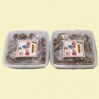 本場和歌山みなべの昔ながらのしょっぱい梅干し 2kg（1kg×2セット）