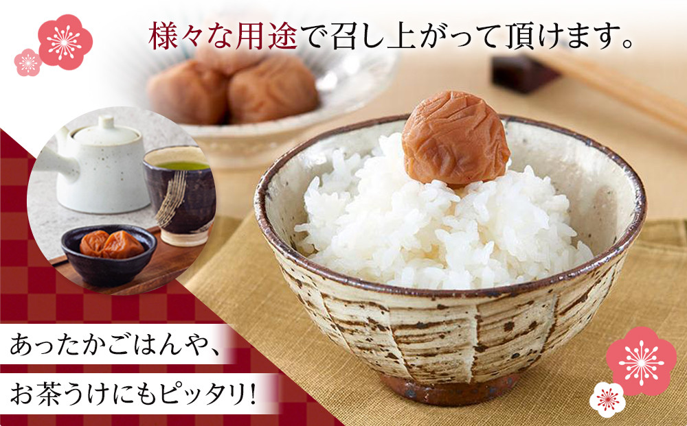 梅心（うめごころ）ながおかや 紀州梅のあい（はちみつ）１kg