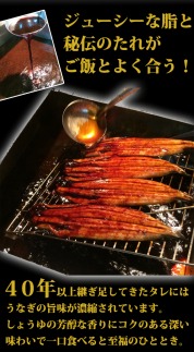 大型サイズふっくら柔らか　国産うなぎ蒲焼き　２尾