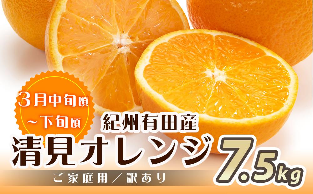 【魚鶴商店厳選】和歌山人気の柑橘ご家庭用・訳あり定期便（みかん・不知火・清見オレンジ）【定期便全3回】【UT117】