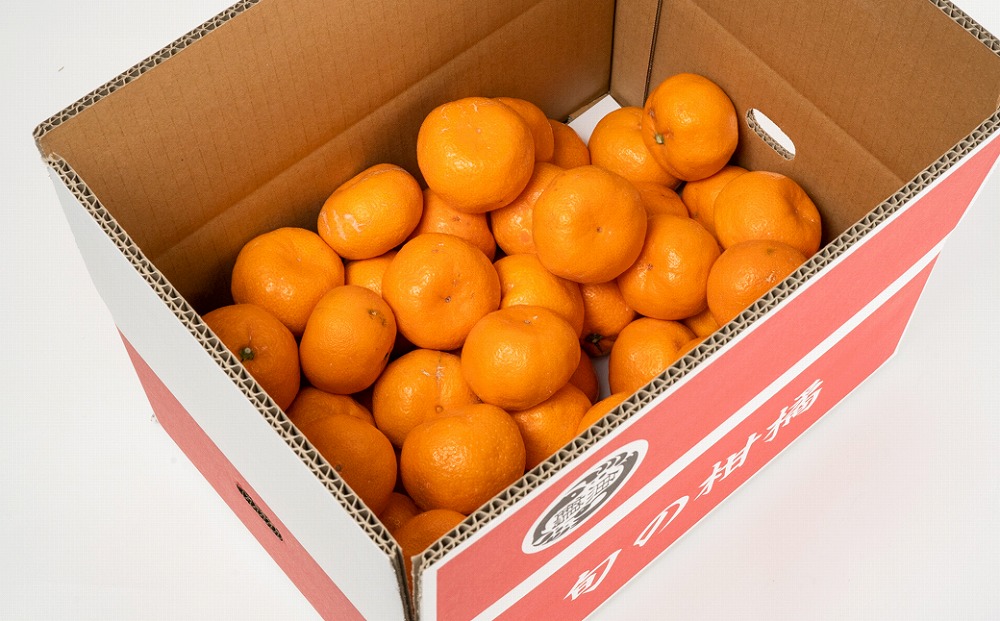 ［ご家庭用訳アリ］紀州有田産濃厚完熟温州みかん 約5kg ［2026年11月下旬以降発送 先行予約 ］［UT13］