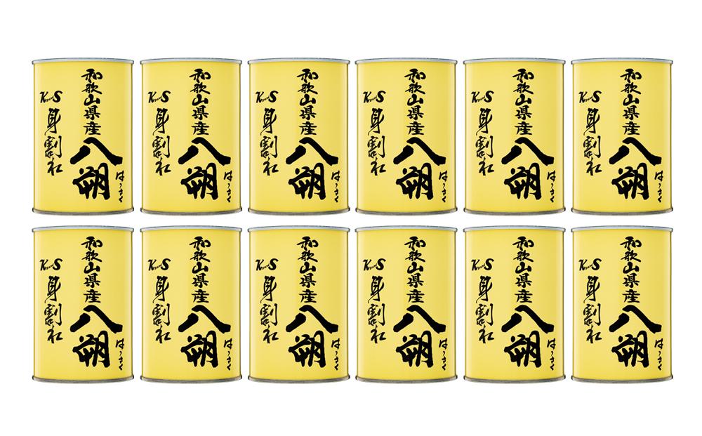 和歌山県産 八朔 缶詰（ 身割れ ）425g × 12缶 セット【入金確定後より7営業日以内に発送予定】【KF7】