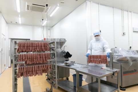 わかやまジビエソーセージ 猪・鹿 10Pセット【MT17】