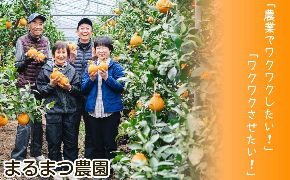 【2025年12月発送】濃厚完熟 木成り温州みかん 5kg ミックスサイズ 和歌山県産