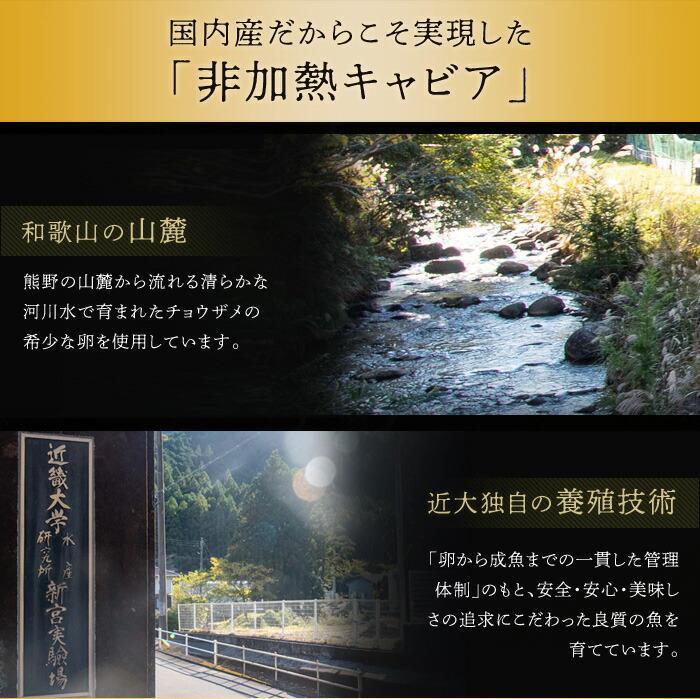 近大キャビア10ｇ×2個