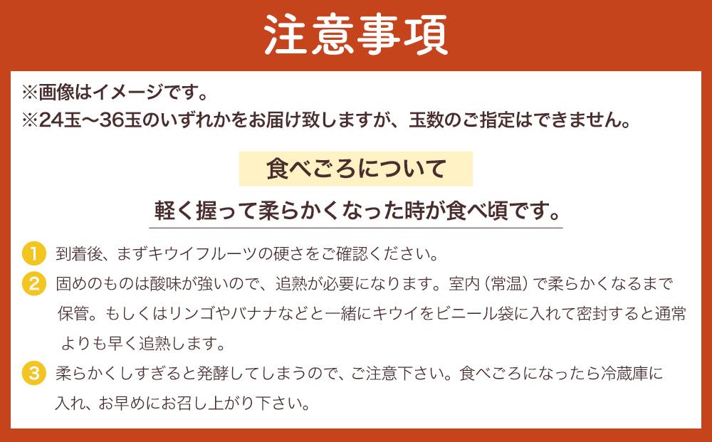 和歌山九度山町産 キウイフルーツ 約3.6kg (玉数おまかせ 24玉～36玉のいずれか 秀品)★ 2026年1月中旬頃より順次発送