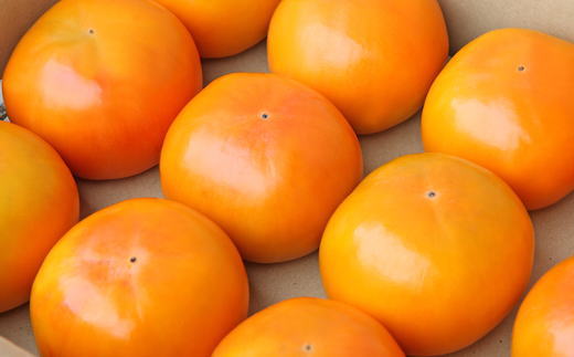  [甘柿の王様]和歌山産富有柿　約7.5kg サイズおまかせ★2025年11月上旬頃より順次発送【TM5】