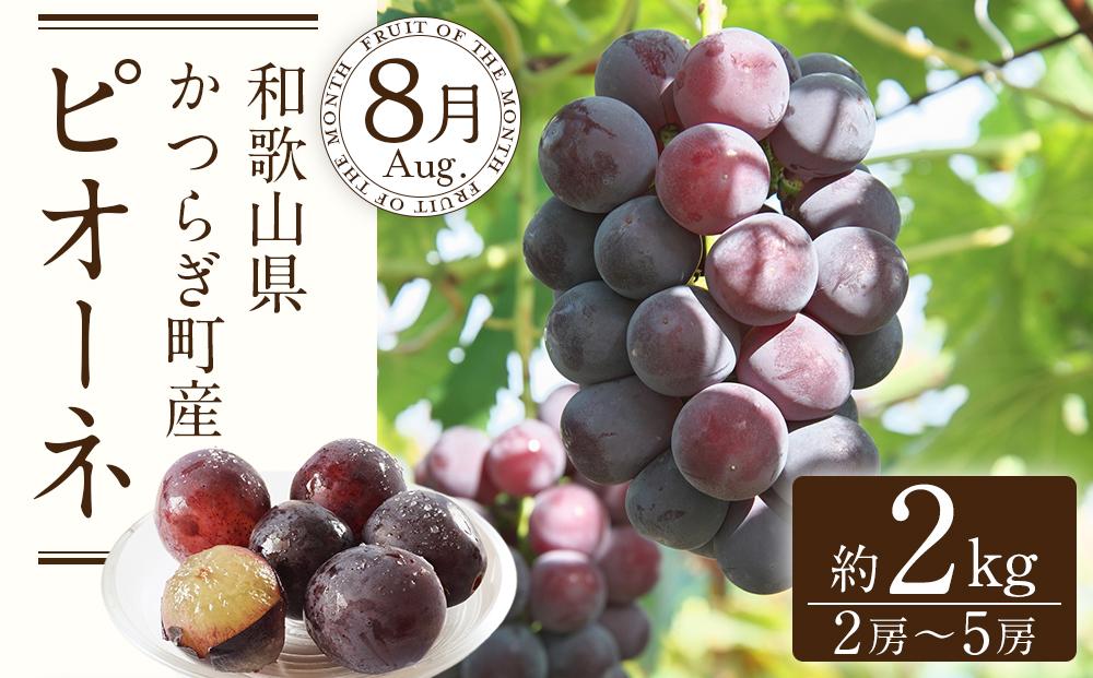 定期便全3回 和歌山の人気の夏のフルーツをお届け！ ［TM204］