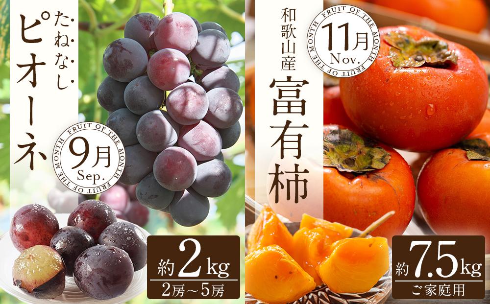 和歌山の旬の果実を 奇数月にお届け全6回定期便（キウイ・清見オレンジ・ミニトマト・桃・ピオーネ・富有柿）【TM62】