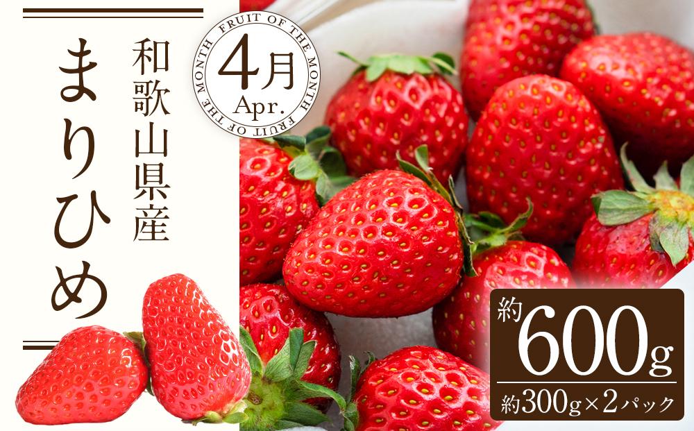 定期便全3回 【2月・3月・4月発送】 和歌山の春のフルーツ （ポンカン・清見オレンジ・まりひめ）【TM174】