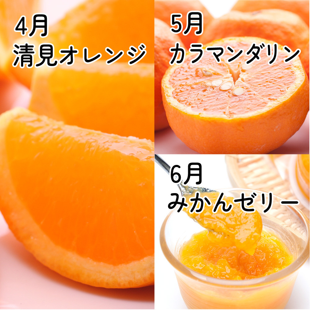 家庭用 柑橘定期便S（4～6月）全3回 ［IKE304］