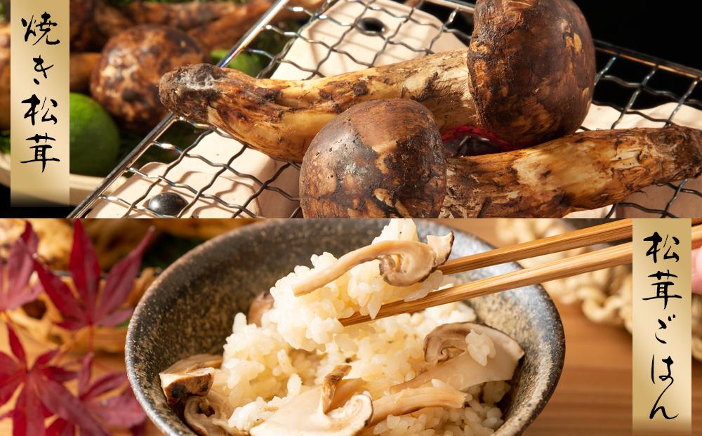 ［2026年発送分］希少な国産松茸「高野松茸」300g　香り・歯応え・味ともに最高級！［化粧箱入］［MG93］