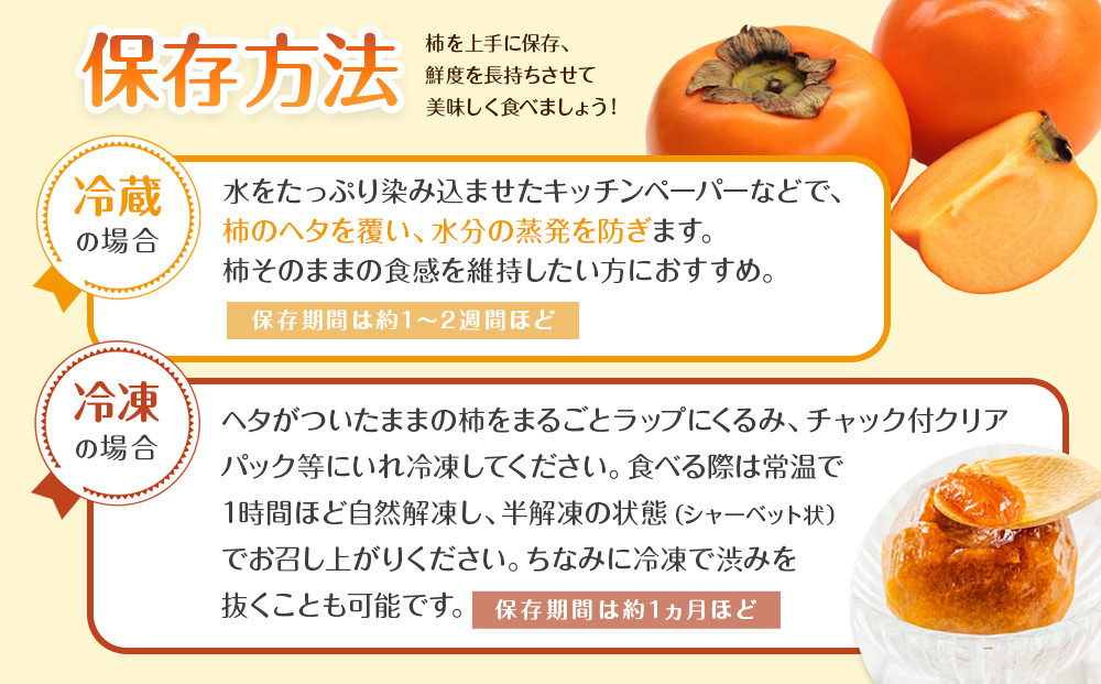 【2026年11月上旬以降発送】◆先行予約◆和歌山県産 富有柿 ＜ご家庭用＞ 約3kg 満杯詰め