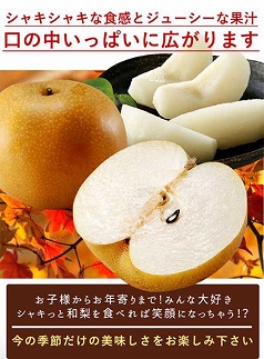 ◆先行予約◆和歌山県産 旬の梨 約4kg【2025年8月中旬以降出荷】［MG75］