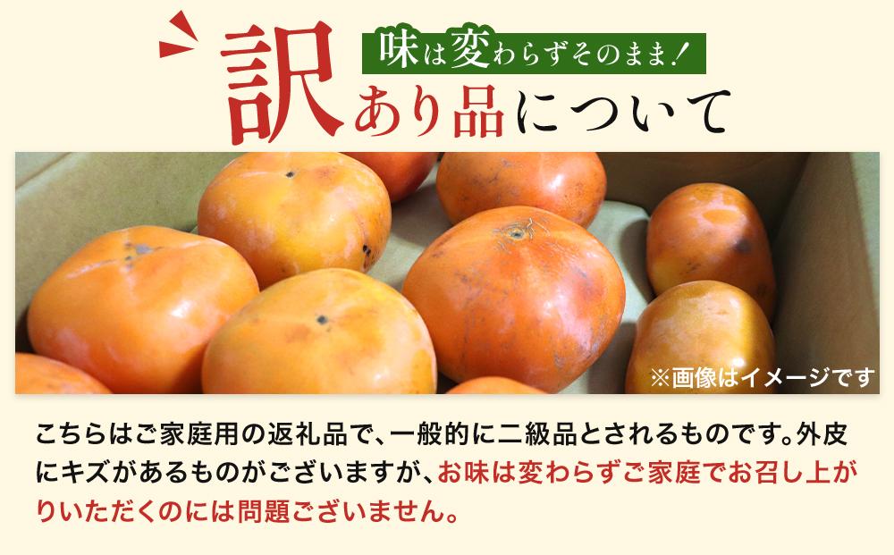 【2026年11月中旬～発送】和歌山県産 訳あり 富有柿 7.5kg L ~ 2L サイズ ご家庭用 柿 選果場 直送