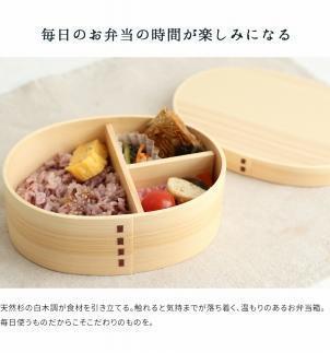 紀州漆器 曲げわっぱ まげわっぱ 弁当箱 ［スコティッシュフォールド］ 我が家のネコちゃんシリーズ［YS83］