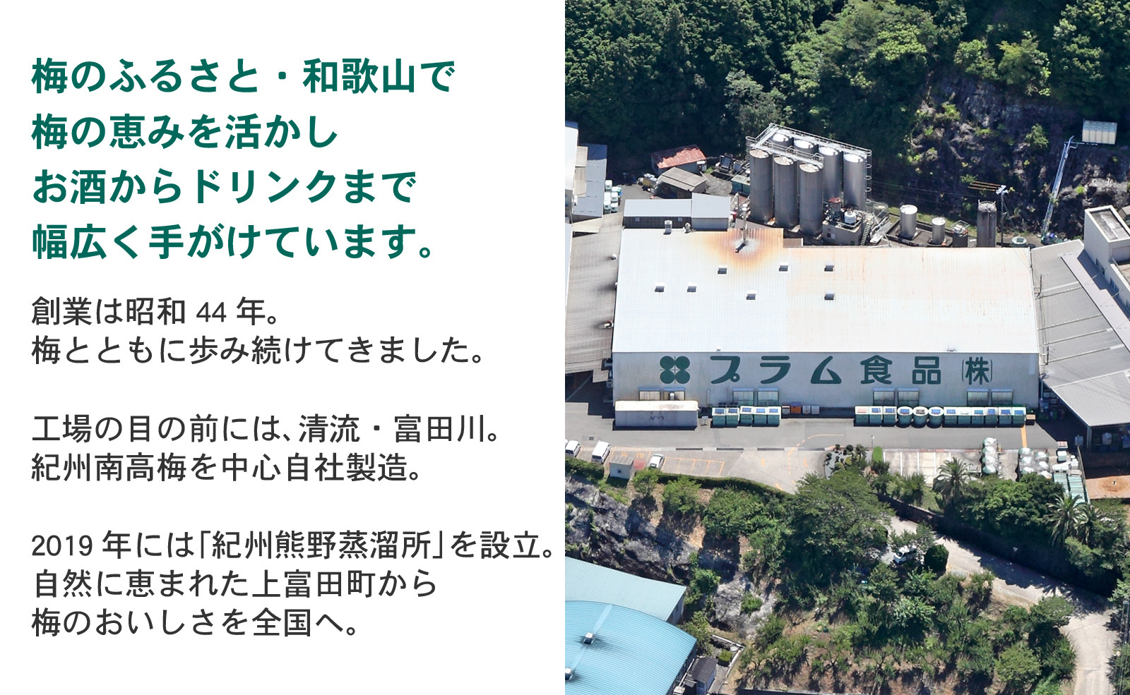 希釈用梅ドリンク 梅ハニップ 3本セット