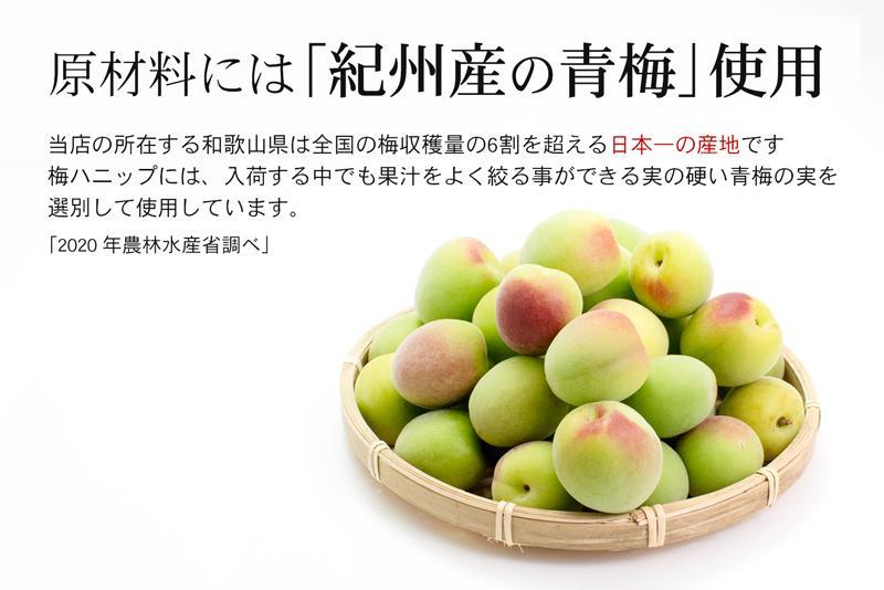 希釈用梅ドリンク 梅ハニップ 12本セット