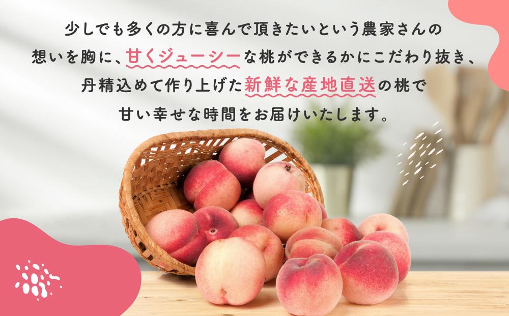 【産直・人気の特産品】和歌山の桃　約4kg・秀選品★2026年6月下旬～8月中旬頃順次発送★【TM168】