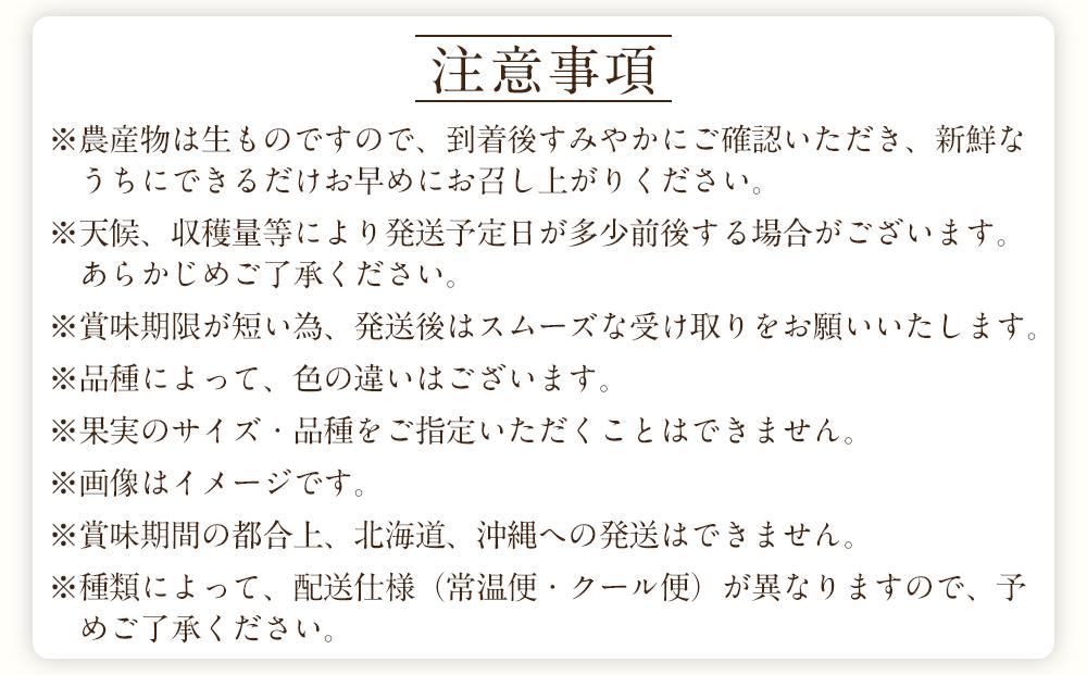 和歌山の旬の果実を 奇数月にお届け全6回定期便（キウイ・清見オレンジ・ミニトマト・桃・ピオーネ・富有柿）【TM62】