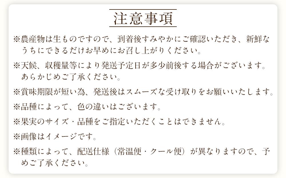 定期便全3回 【2月・3月・4月発送】 和歌山の春の柑橘 （ポンカン・はるか・ブラッドオレンジ）秀品【TM173】