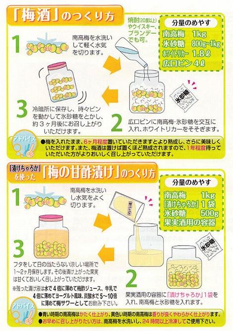 ［梅干・梅酒用］（3Lまたは2L－10Kg）熟南高梅＜2026年6月上旬～7月7日発送予定＞フルーツ 果物 くだもの 食品 人気 おすすめ 送料無料［ART05］