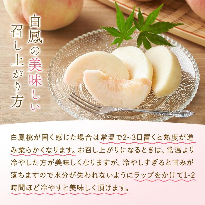 和歌山県産 白鳳 桃 11～15玉入り秀品［2026年6月下旬以降発送］［MG90］