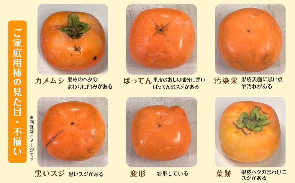 【2025年11月上旬以降発送】◆先行予約◆和歌山県産 富有柿＜ご家庭用＞約7.5kg 満杯詰め［MG2］