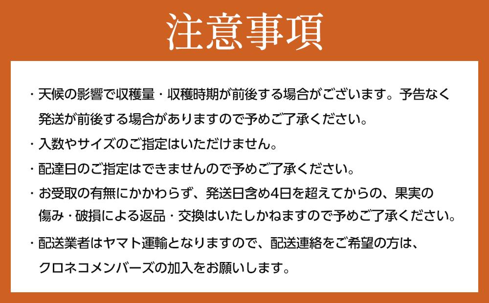 ［2026年10月上旬～発送］和歌山県産 秀品 平核無柿 約7.5kg L ~ 2L サイズ 青秀品 たねなし柿 種無し柿 選果場 直送
