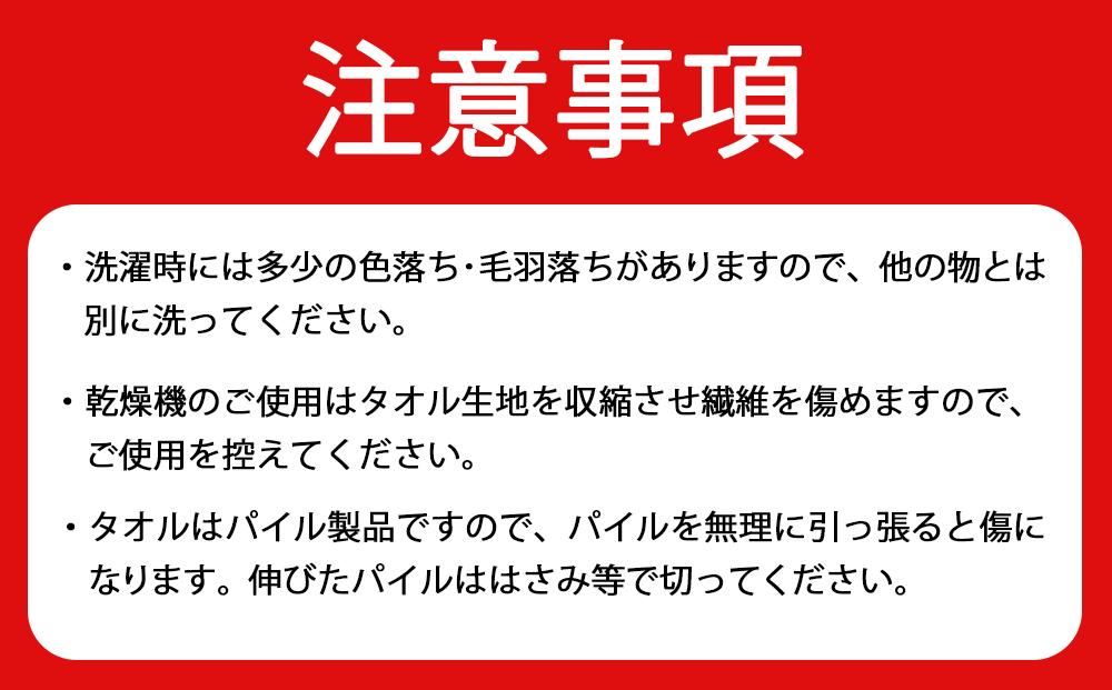 泉州タオル 白タオル 12枚 （ 抗ウイルス 加工 ）入金確認後30日以内に順次出荷(土日祝除く）