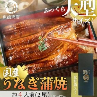 大型サイズふっくら柔らか　国産うなぎ蒲焼き　２尾