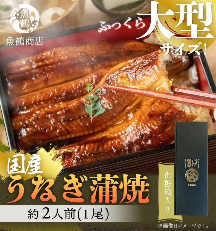 大型サイズ　ふっくら柔らか　国産うなぎ蒲焼き　１尾（約2人前）化粧箱入［冬土用の丑の日のうなぎ］［～1月27日までにお届け］［UT04］