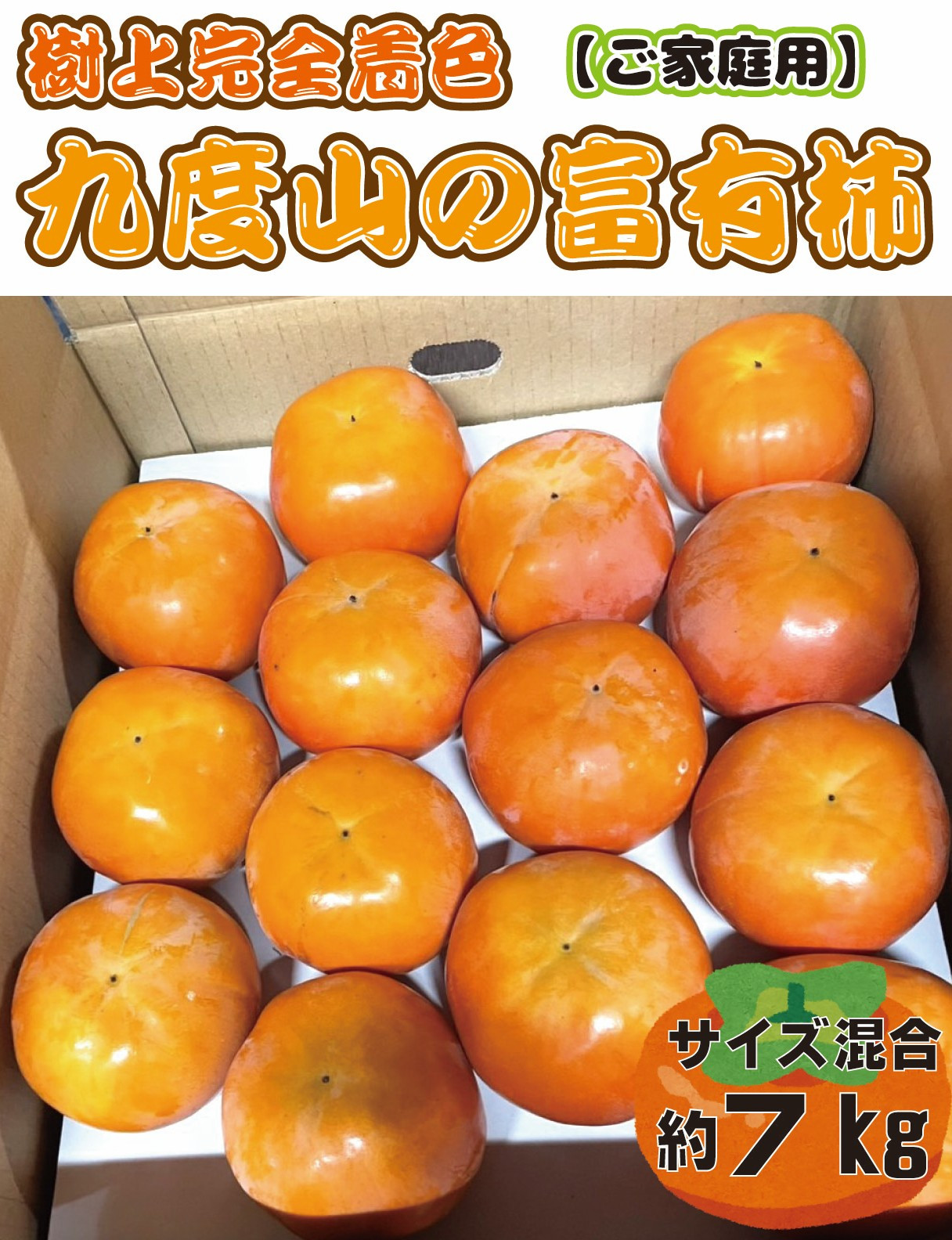 【先行予約】 樹上完全着色「九度山の富有柿」★訳あり★ 約7kg 【2026年11月中旬頃から発送予定】