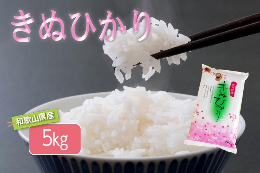 和歌山県産キヌヒカリ 5kg（2023年産）【SL16】
