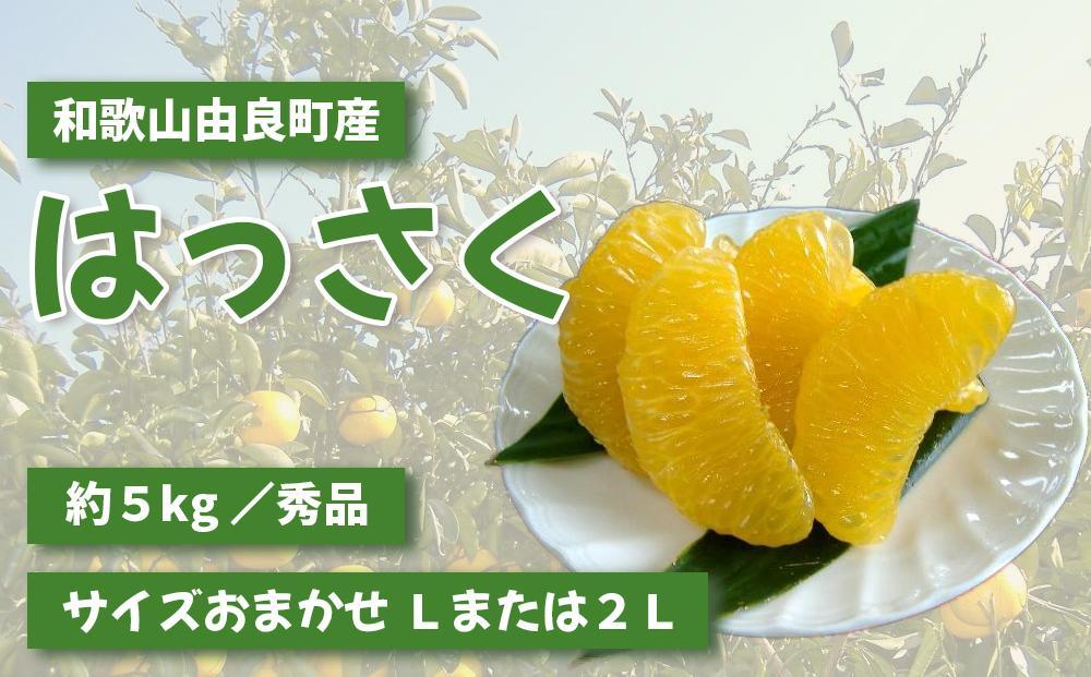 和歌山由良町産さつきはっさく 約5kg 秀品 サイズおまかせ (Ｌまたは２Ｌいずれかお届け) ［SL3］