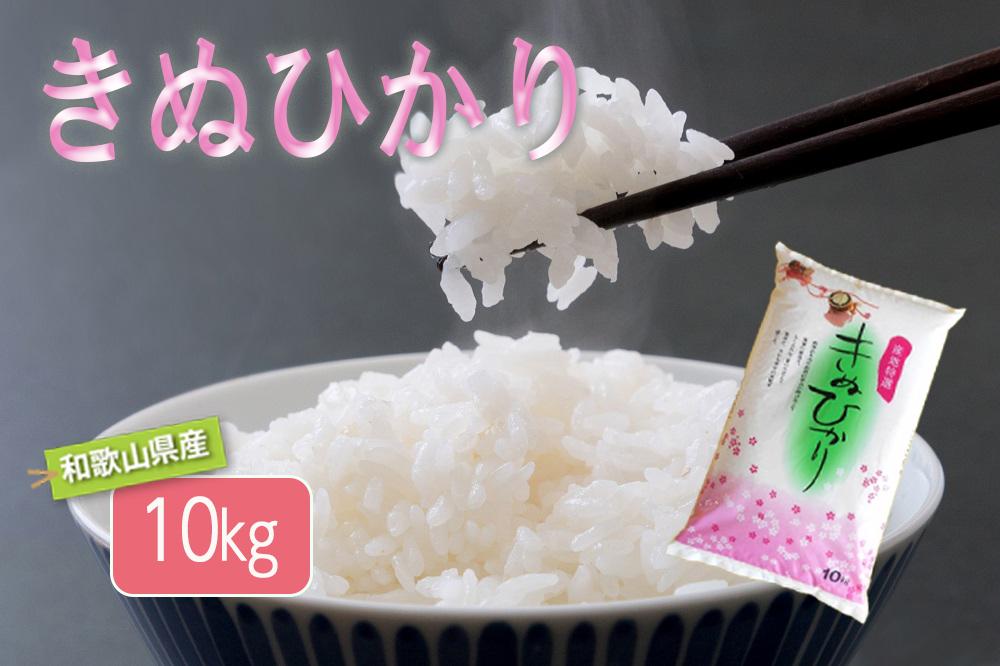 和歌山県産 米 キヌヒカリ 10kg  (2023年産)【SL17】