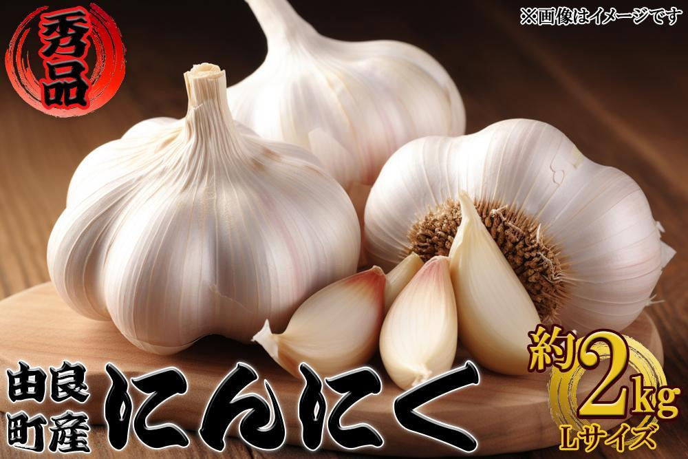 由良町産にんにく 秀品  Ｌサイズ  約2kg(1kg×2)【SL19】