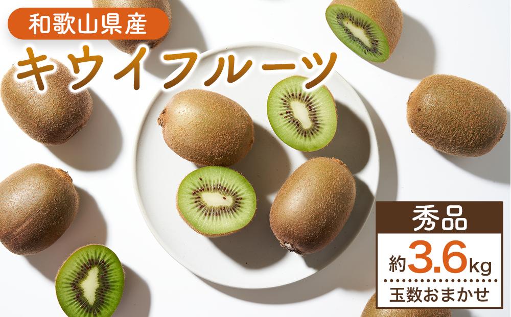和歌山九度山町産 キウイフルーツ 約3.6kg (玉数おまかせ 24玉～36玉のいずれか 秀品)★ 2026年1月中旬頃より順次発送