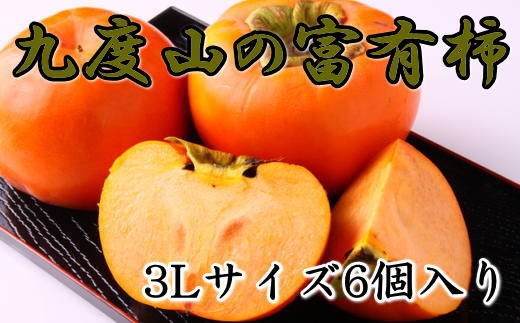 ［数量限定］≪厳選・産直≫九度山町の富有柿3Lサイズ6個入り★2026年11月中旬頃より順次発送