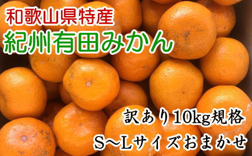 [訳あり]和歌山有田みかん約10kg(S～Lサイズいずれかお届け）★2025年11月中旬頃より順次発送［TM82］