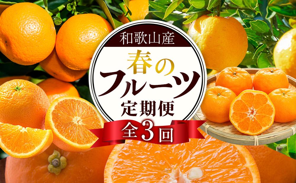 和歌山の春のフルーツ（ポンカン・清見オレンジ・セミノールオレンジ）定期便 全3回 【2月・3月・4月発送】【TM184】
