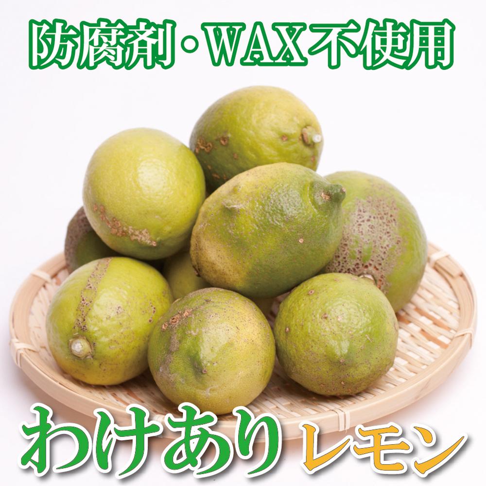 家庭用 レモン1kg+250g（傷み補償分）【和歌山有田産】【防腐剤・WAX不使用、安心の国産レモン】【わけあり・訳ありレモン】［IKE125］